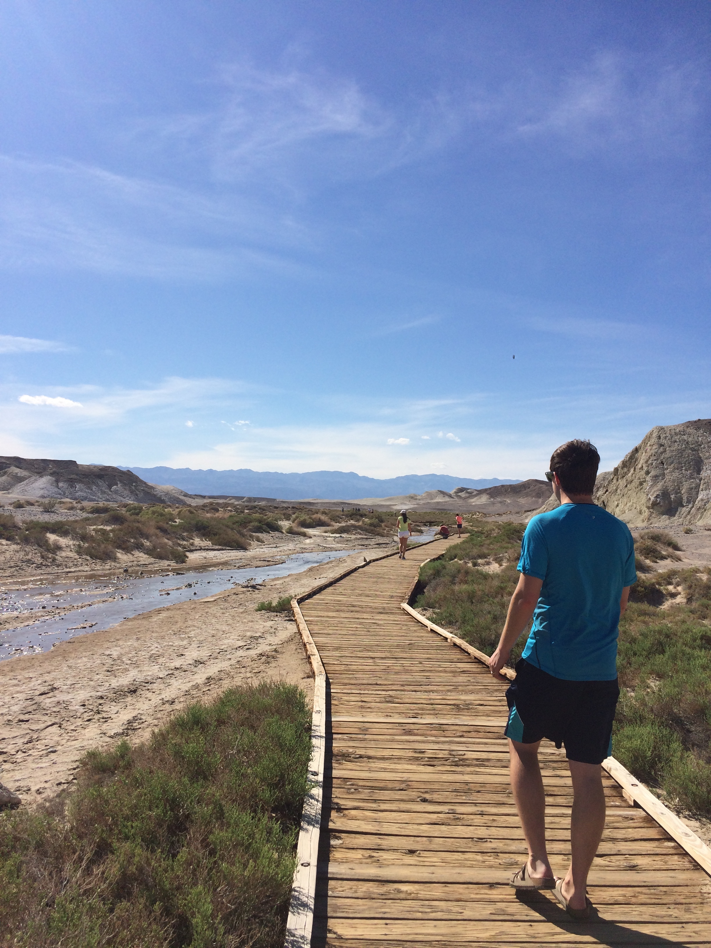 this creek is home to the rare (like they only exist in this creek) pup fish!