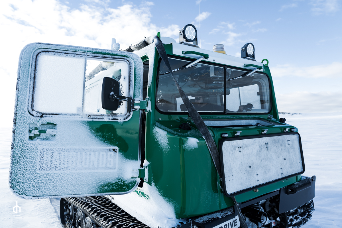 Green Hagg&nbsp;covered in ice.