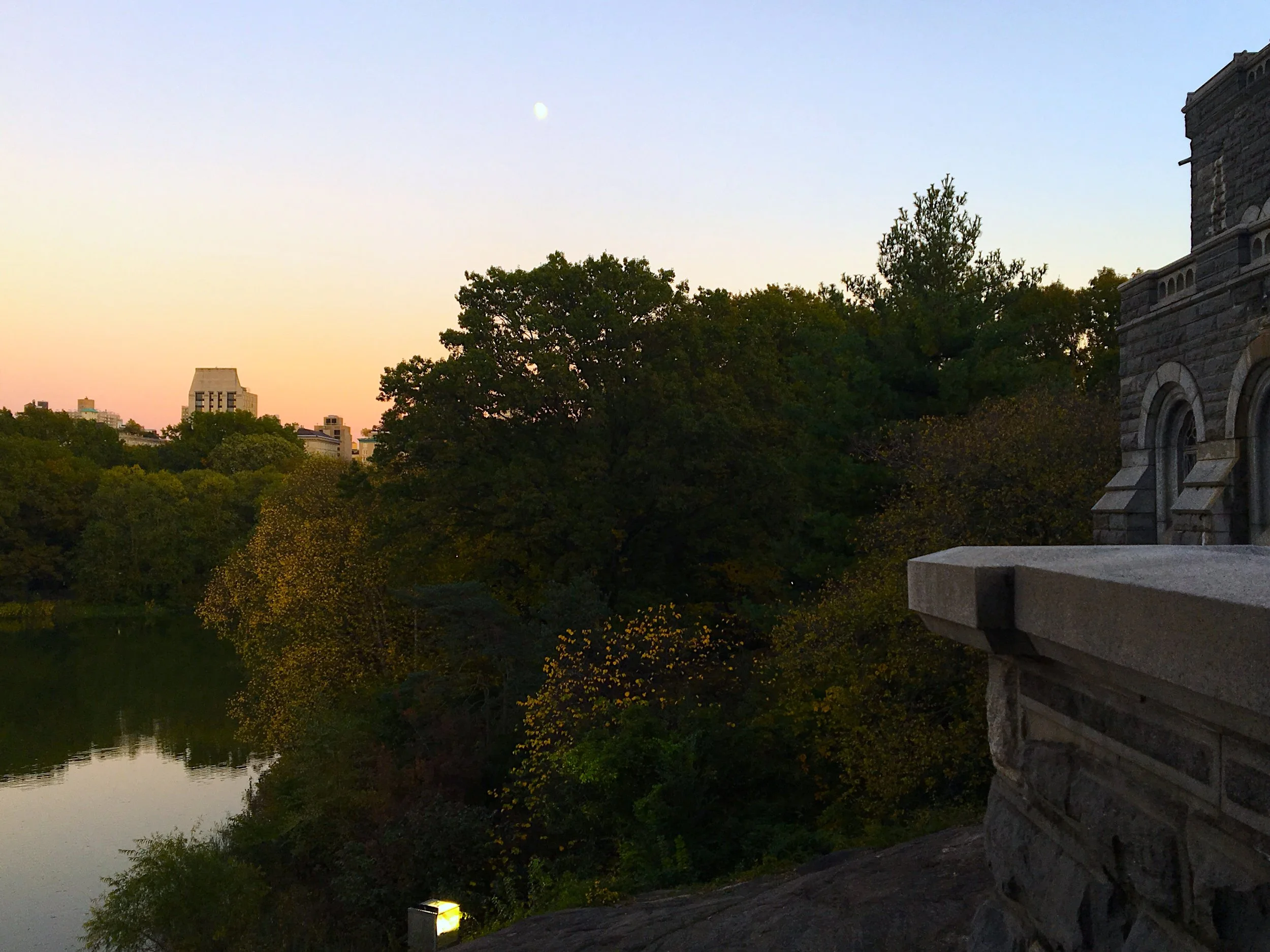 Central Park Halloween 2017