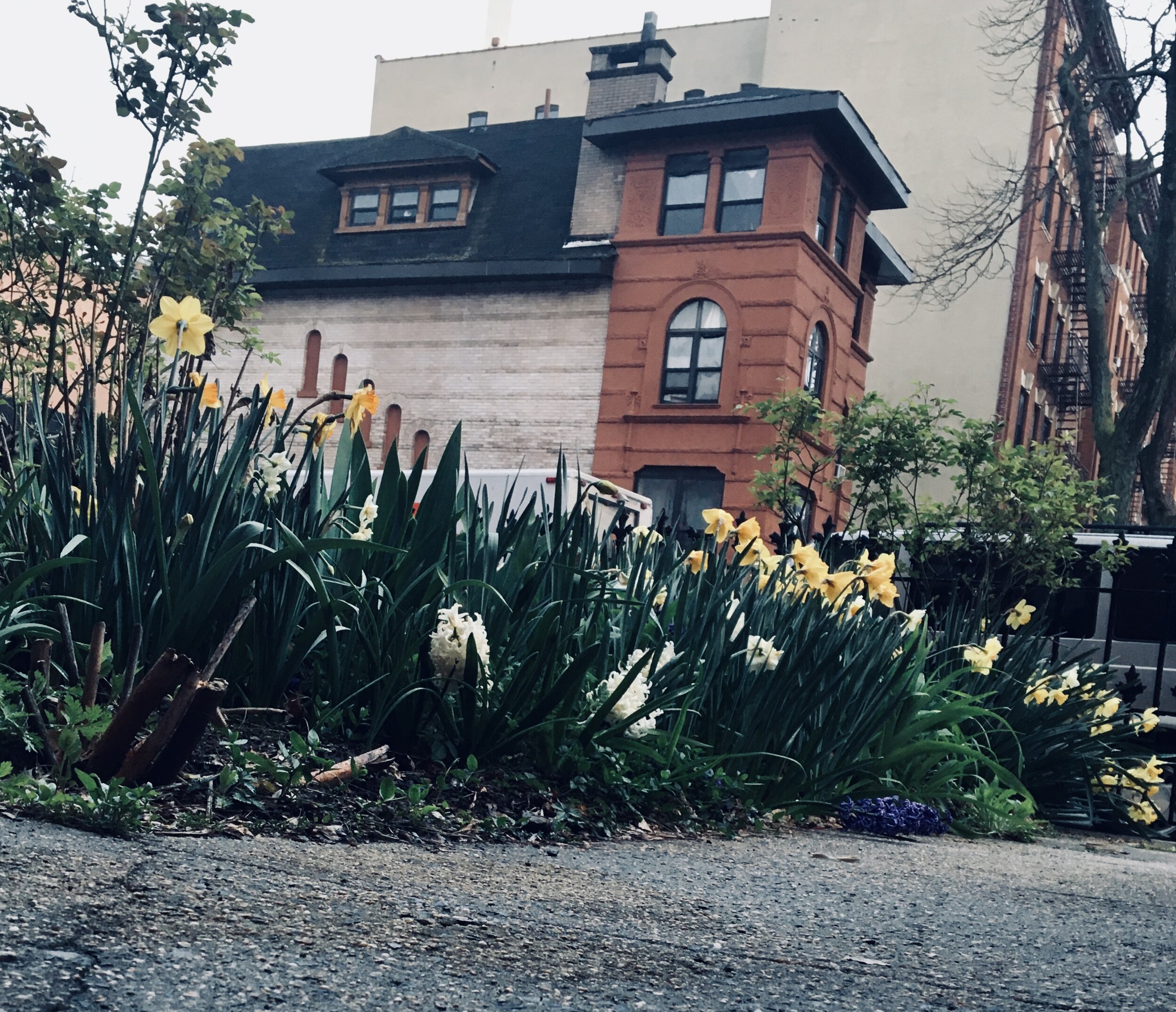 SPRING