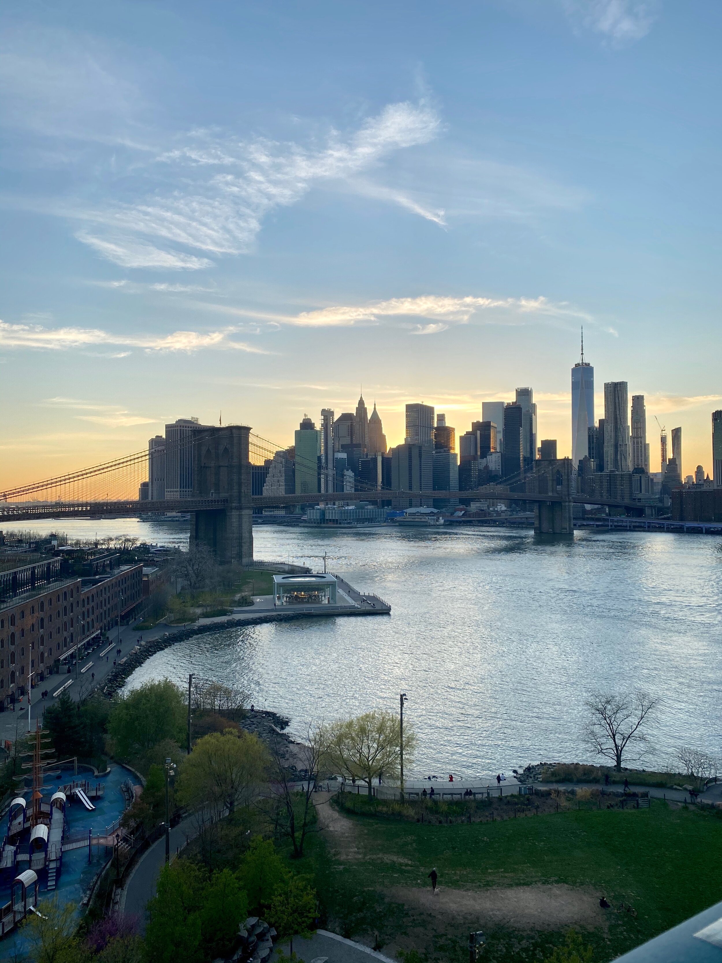 View of Manhattan and the Brooklyn Bridge