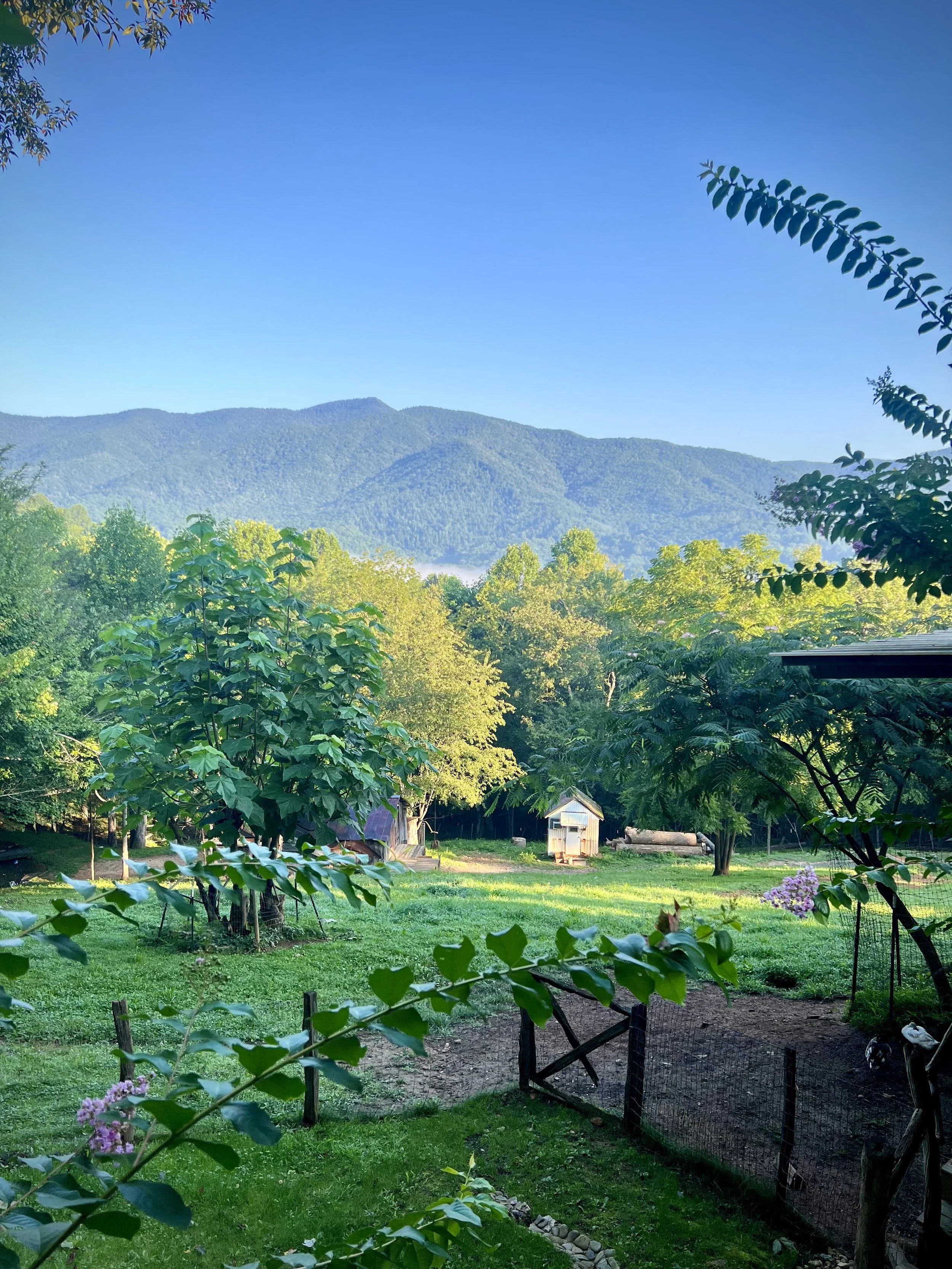IMG_9788.jpeg
