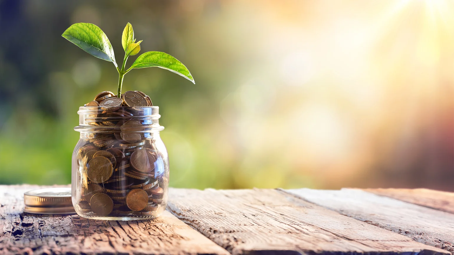 grow-money-interest-rates-low.jpg