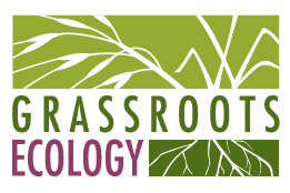 grassroots+ecology.png