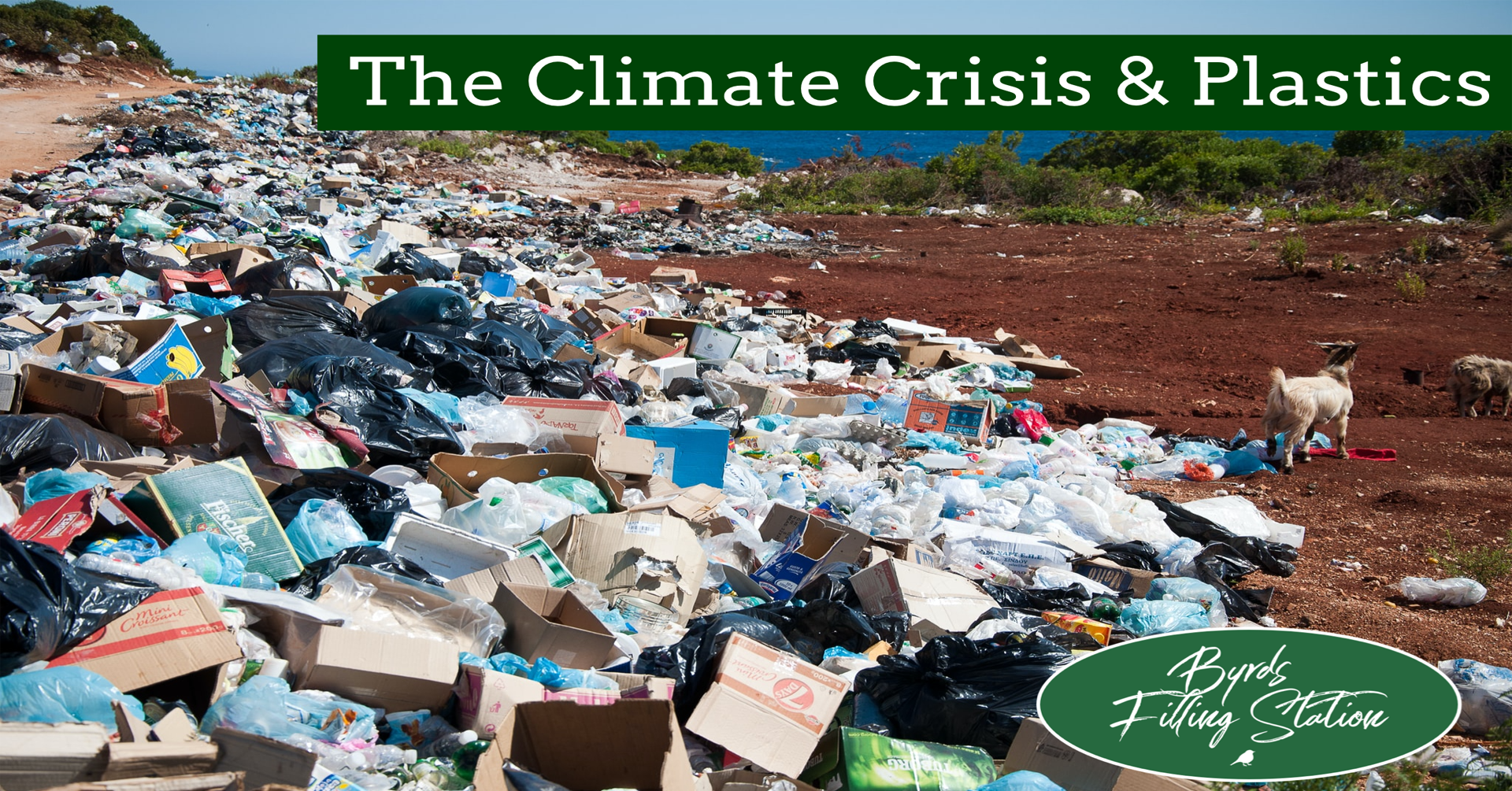 Plastics and the Climate Crisis with Byrd's Filling Station