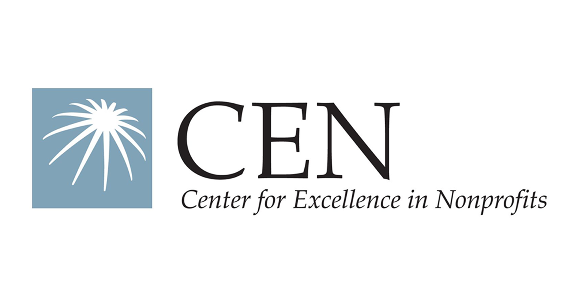 Center for Excellence in Nonprofits: Developing a High Performing Team