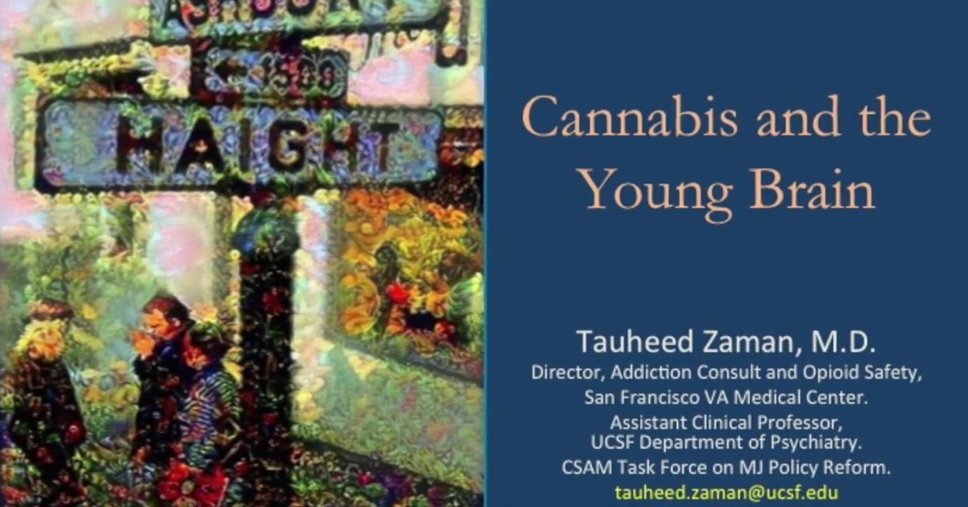 The Parent Venture: Cannabis and the Young Brain