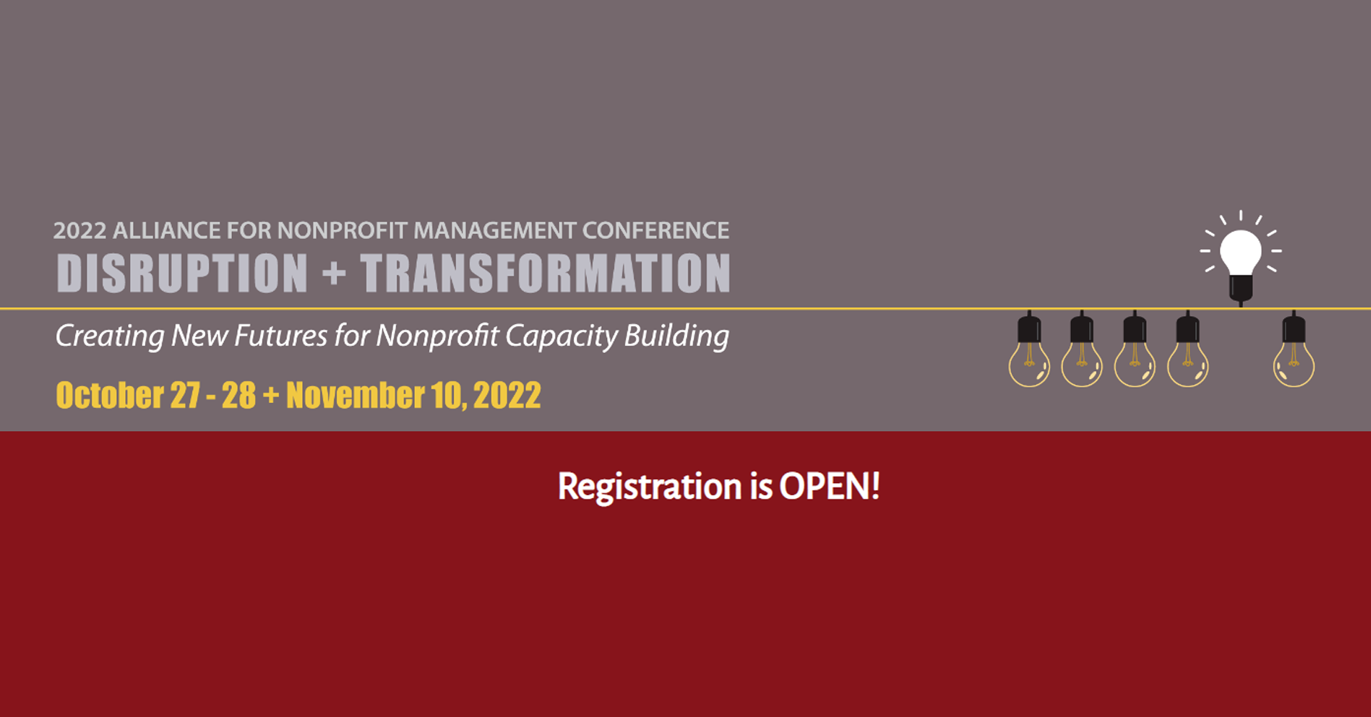 Disruption + Transformation: Creating New Futures for Nonprofit Capacity Building