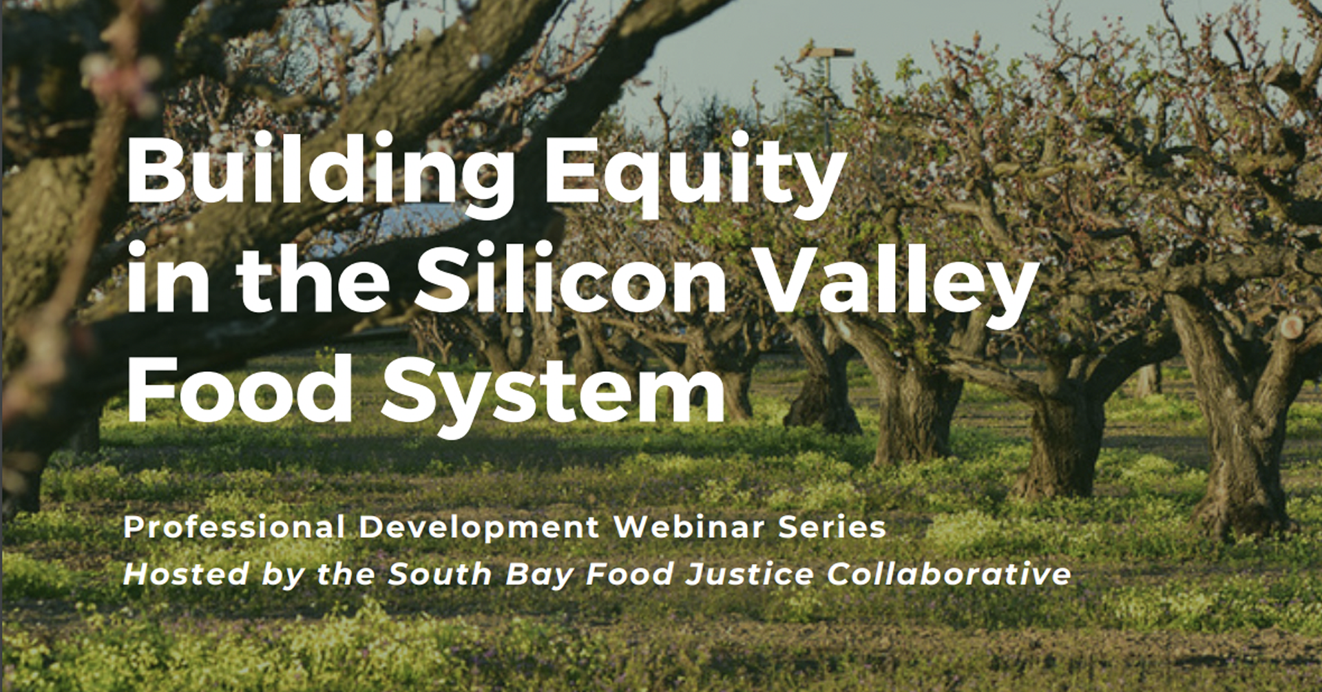 South Bay Food Justice Collaborative: Building Equity in the Silicon Valley Food System