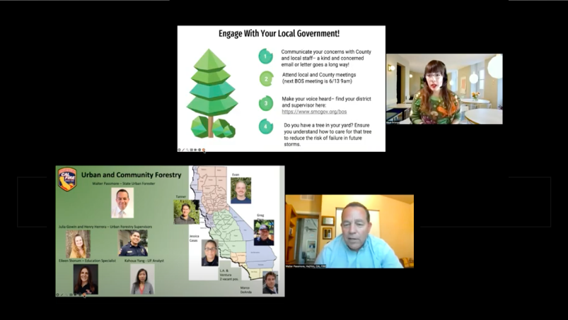 From Canopy Cover to Community Equity: Protecting and Managing Our Urban Forest