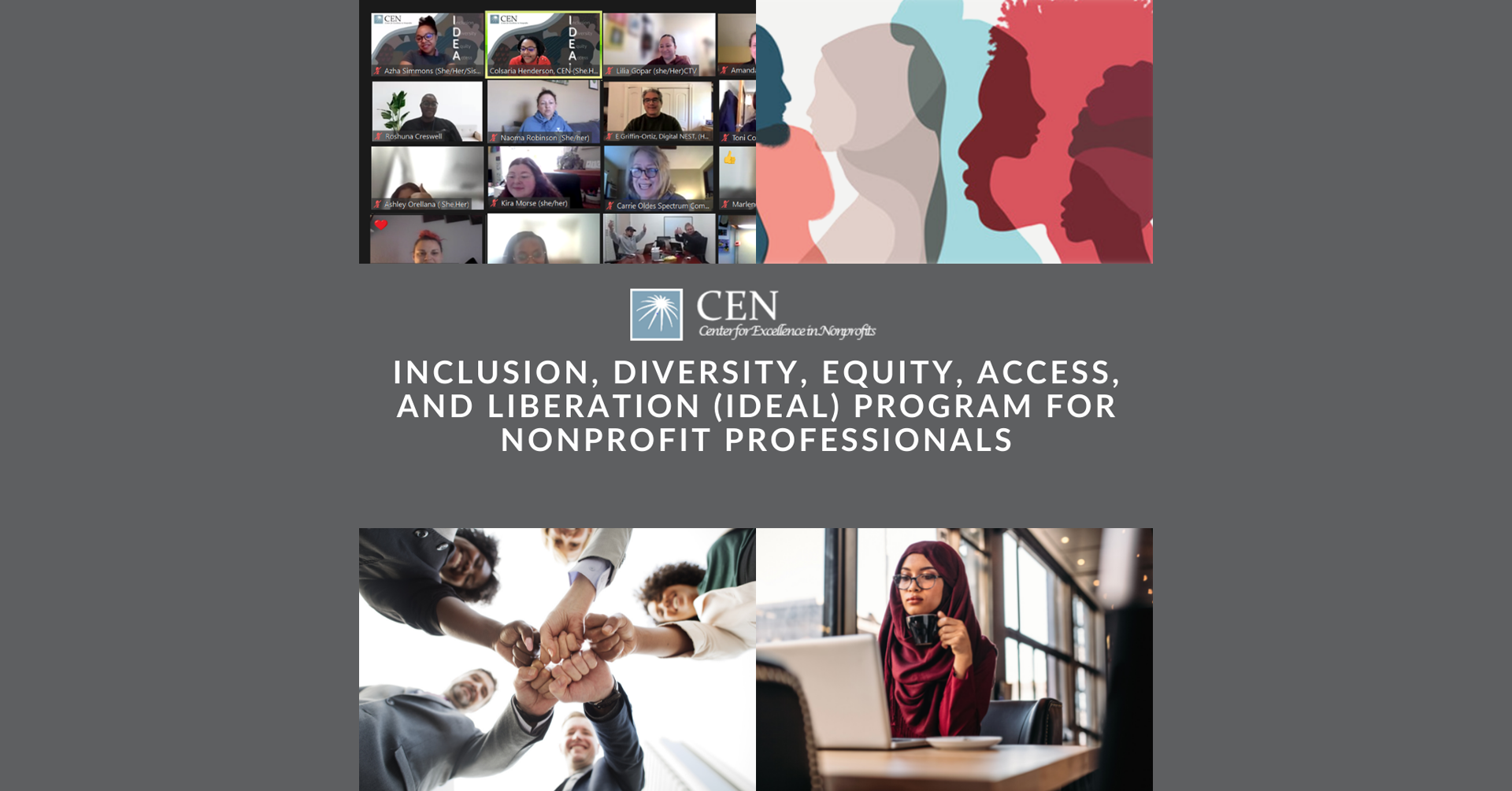 Center for Excellence in Nonprofits (CEN): IDEAL Program for Nonprofits Professionals