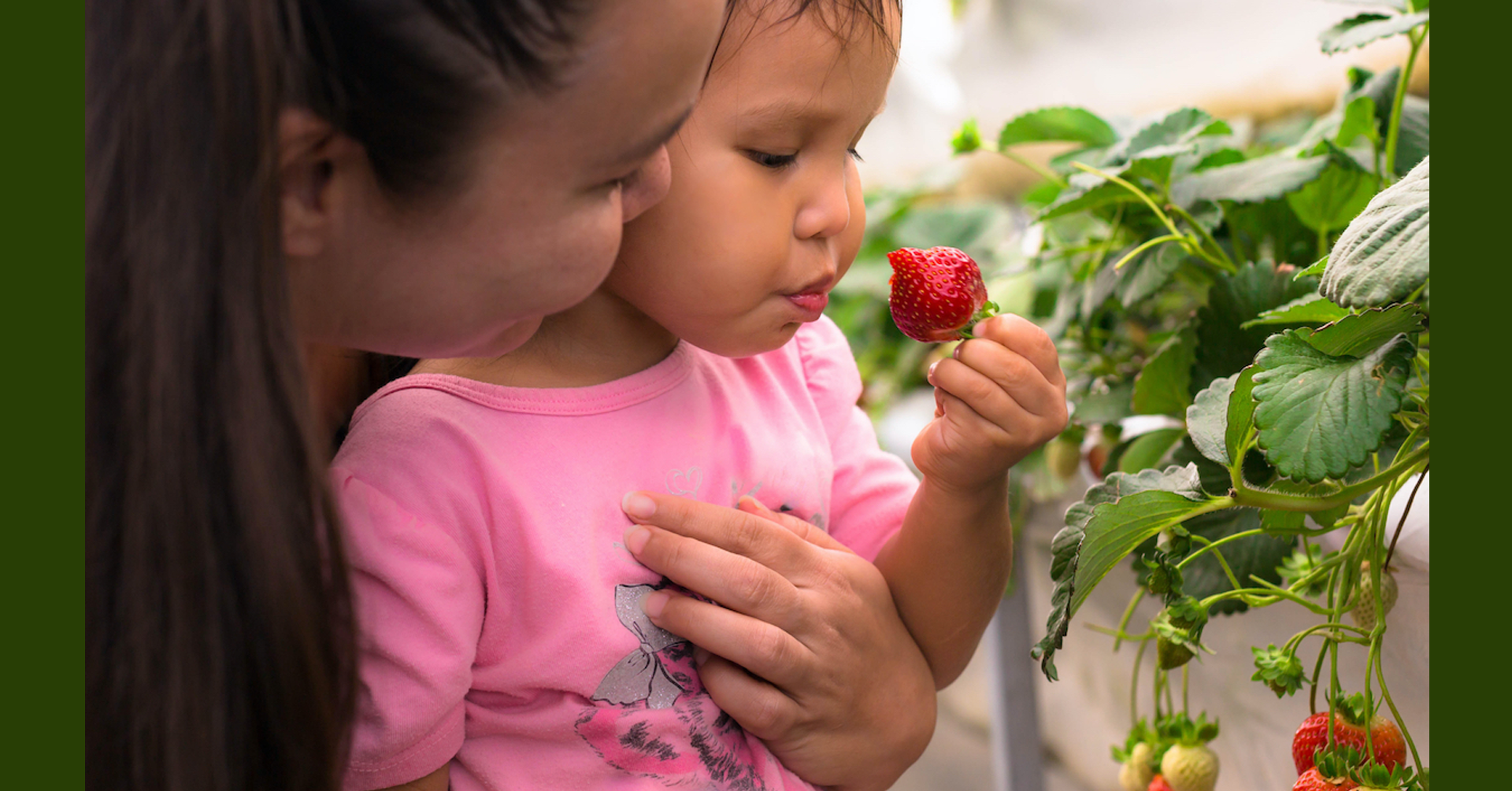 Acterra: Rooted in Sustainability - The Power of Urban Gardening