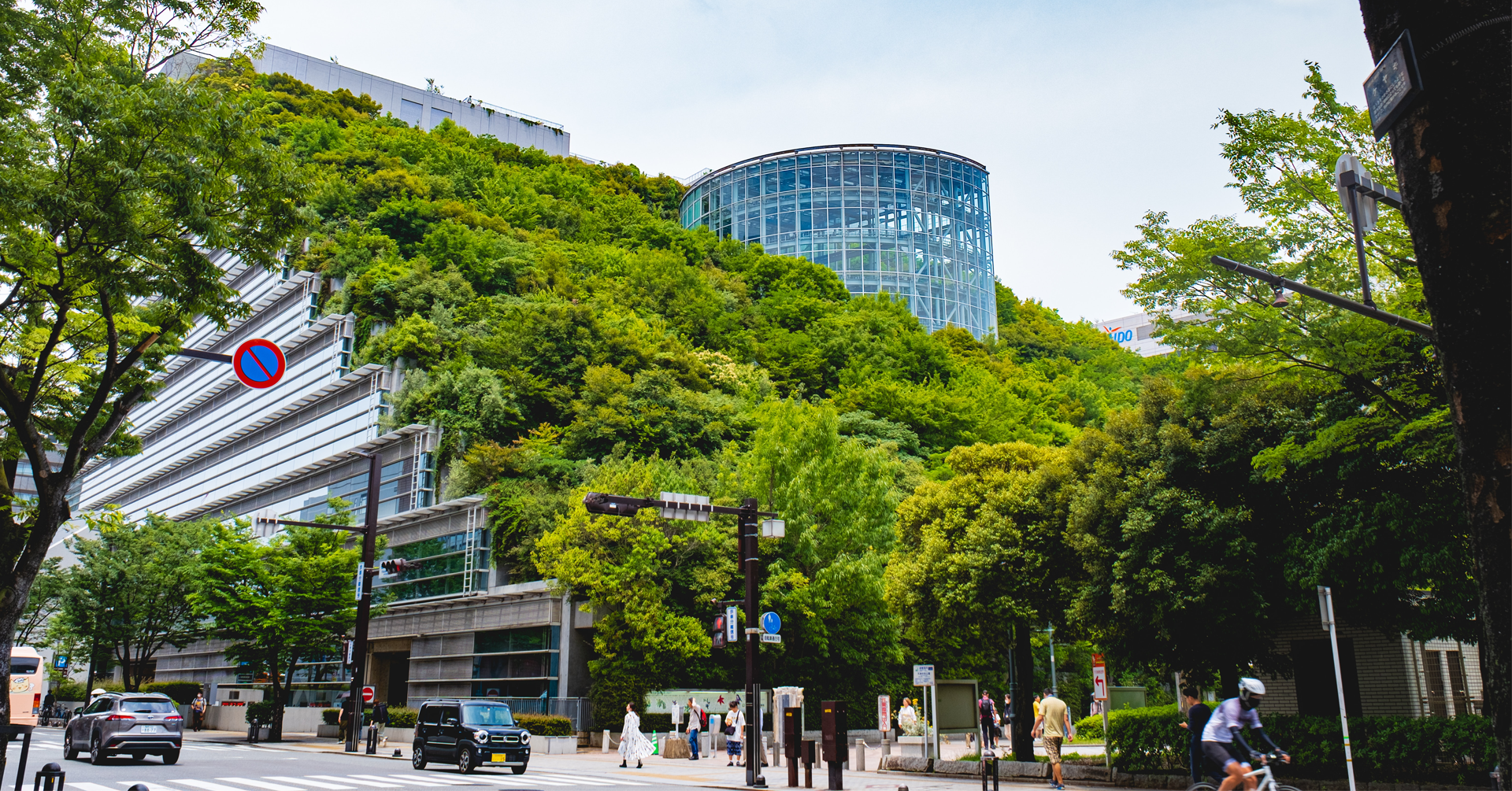 Canopy: Webinar - Creating &amp; Sustaining Denser, Greener Cities