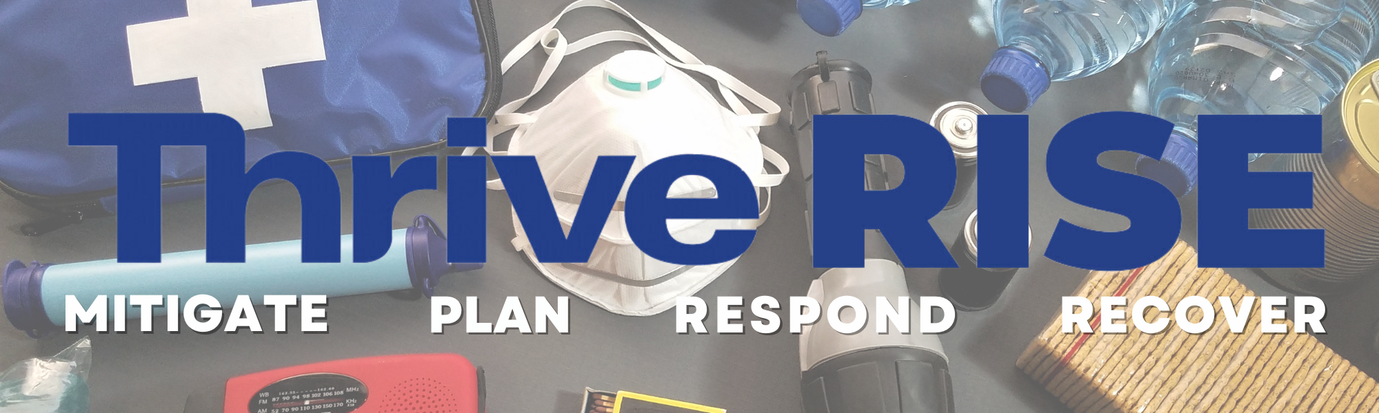 Disaster & Risk Resources — Thrive, The Alliance of Nonprofits for San ...