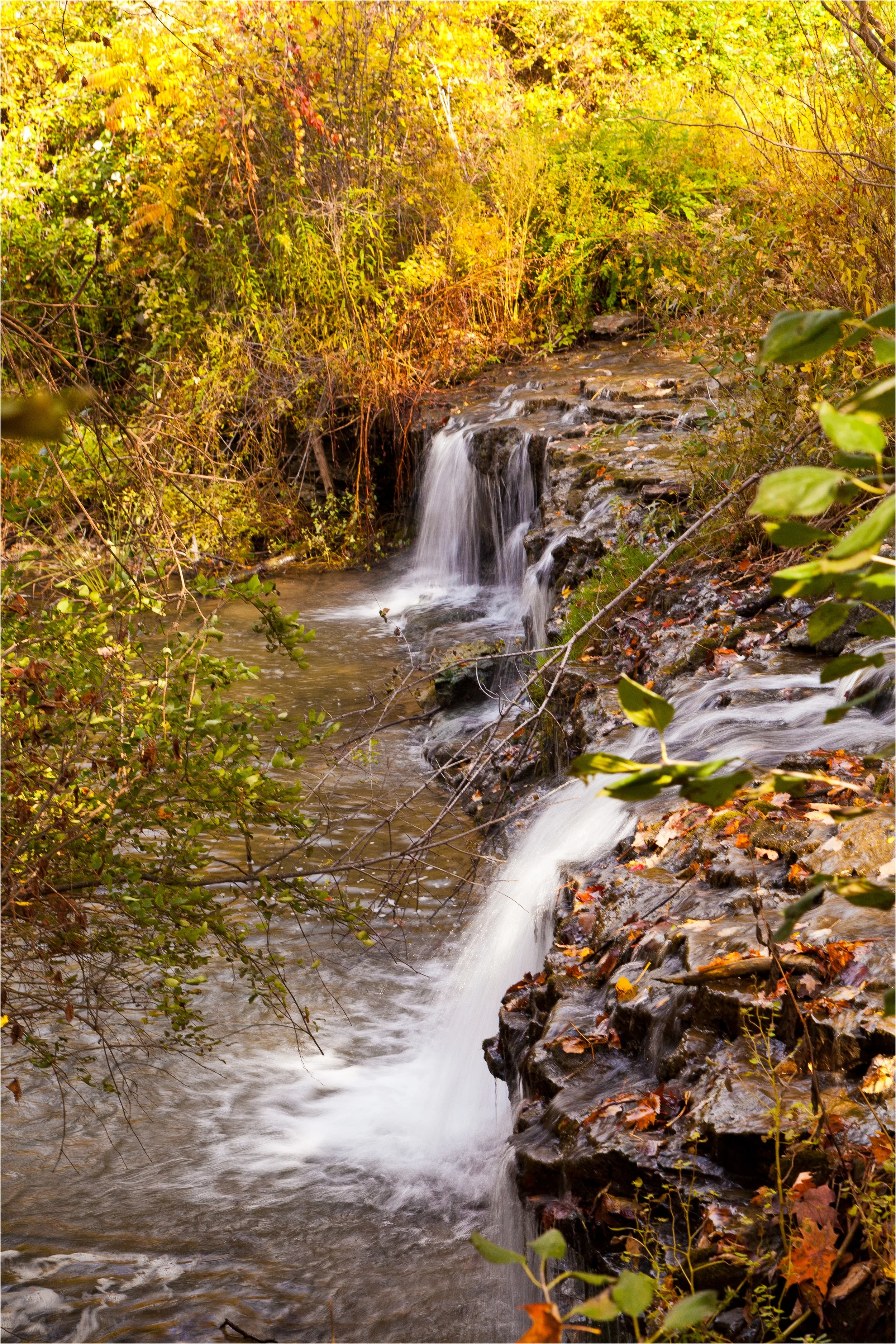 20111025-IMG_0309_tn.jpg