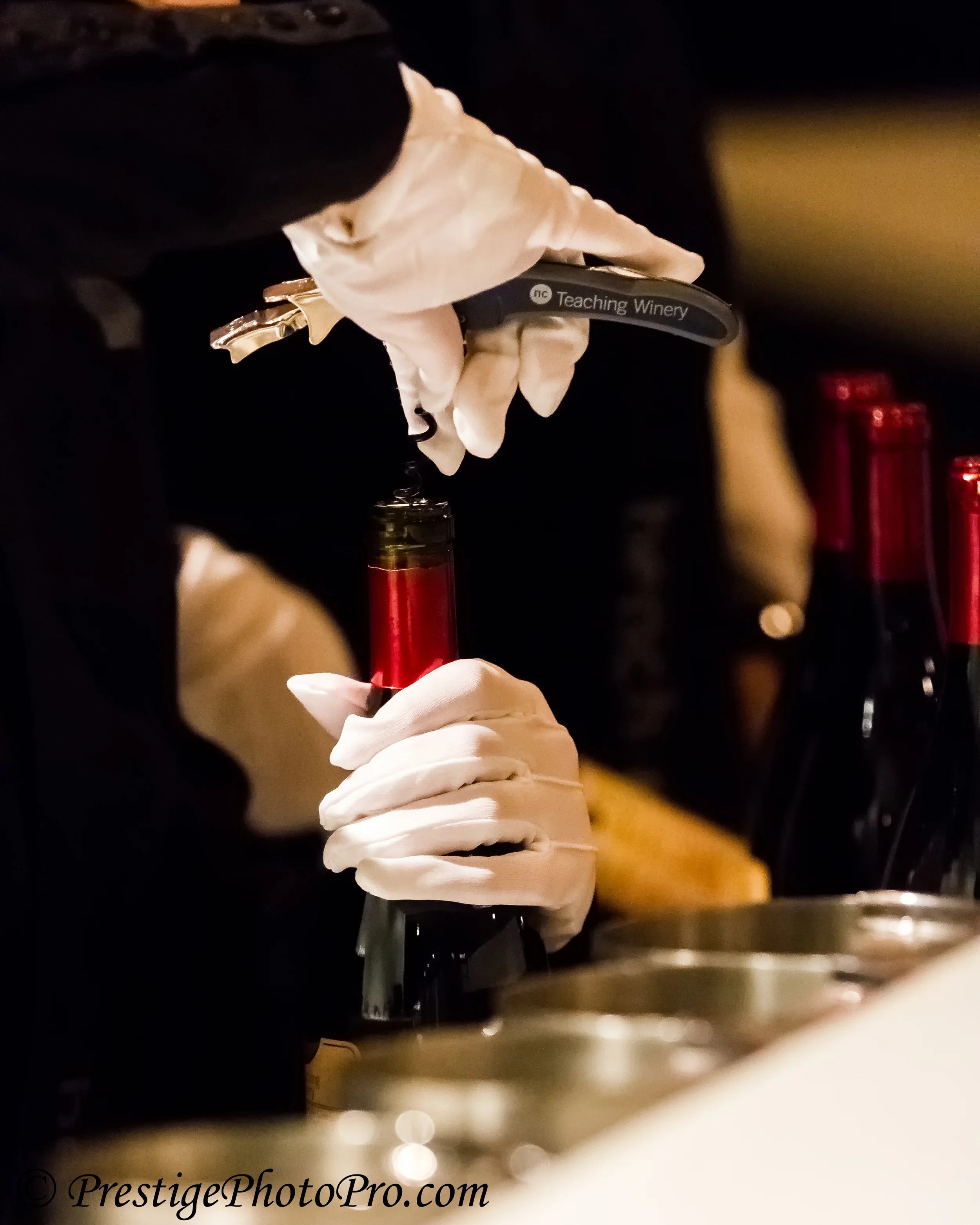 Niagara_College_Teaching_Winery.jpg