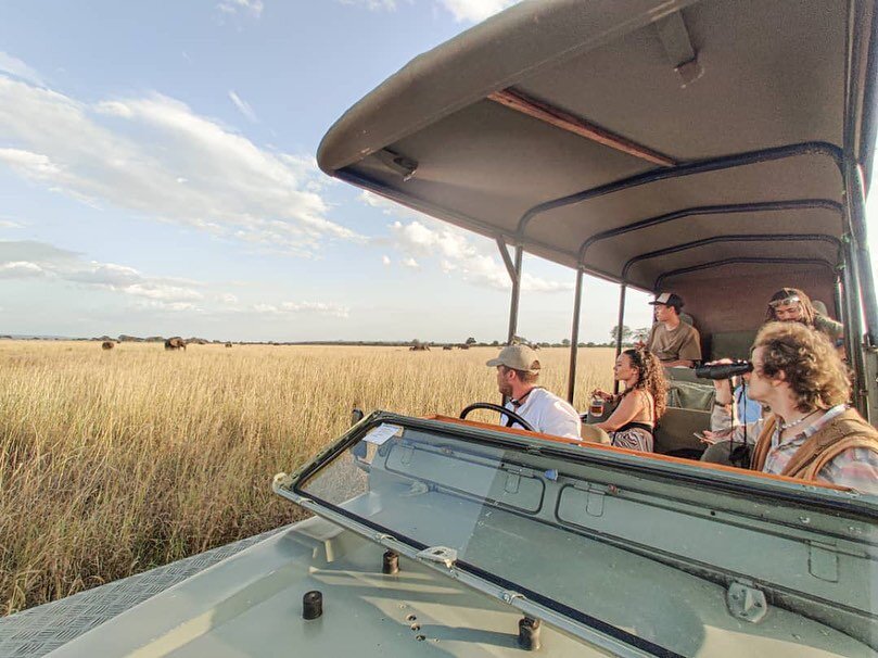 It&rsquo;s a beautiful day for a game drive! 🐘