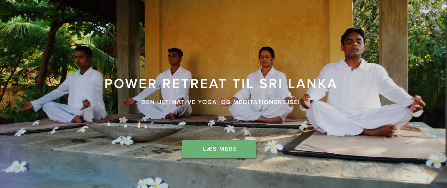 Kropsinstituttet Retreats, Kropsterapi & Efteruddannelse