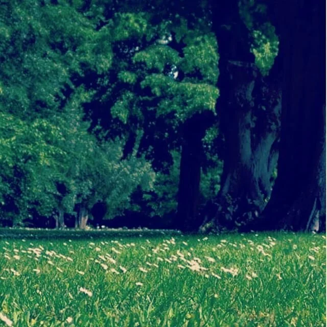 Kropsinstituttet Retreats, Kropsterapi & Efteruddannelse