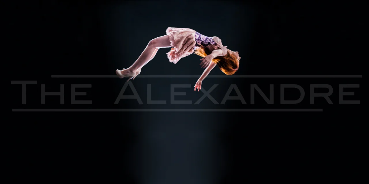 Alexandre Dorriz, Fall/Winter 2013 , 2013. Archival Inkjet Print, 40” x 20”. www.thealexandre.com
