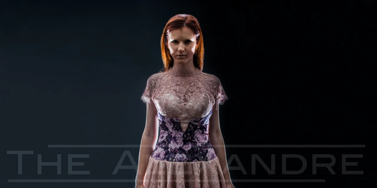 Alexandre Dorriz, Fall/Winter 2013 , 2013. Archival Inkjet Print, 40” x 20”. www.thealexandre.com