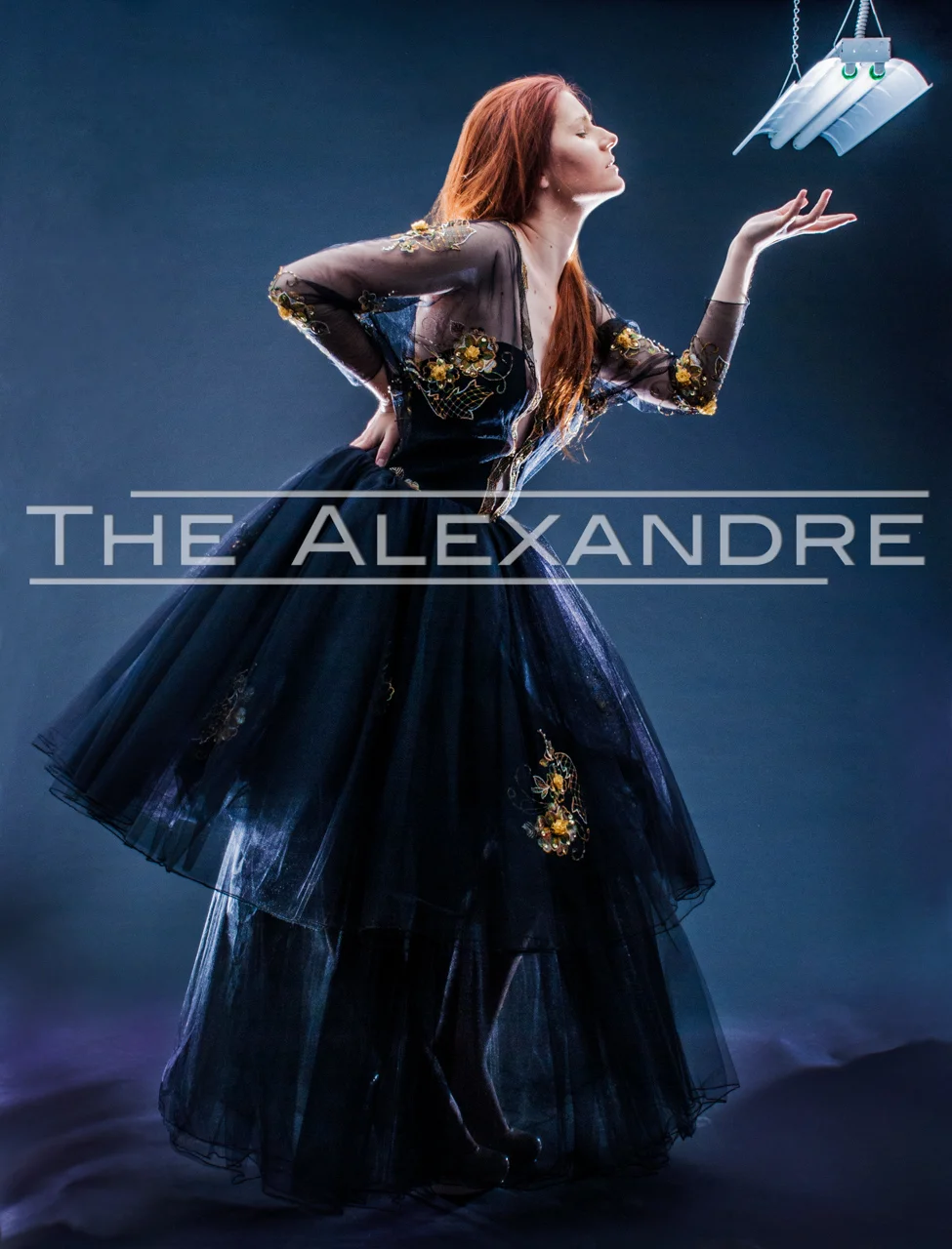 Alexandre Dorriz, Fall/Winter 2013 , 2013. Archival Inkjet Print, 32” x 42”. www.thealexandre.com