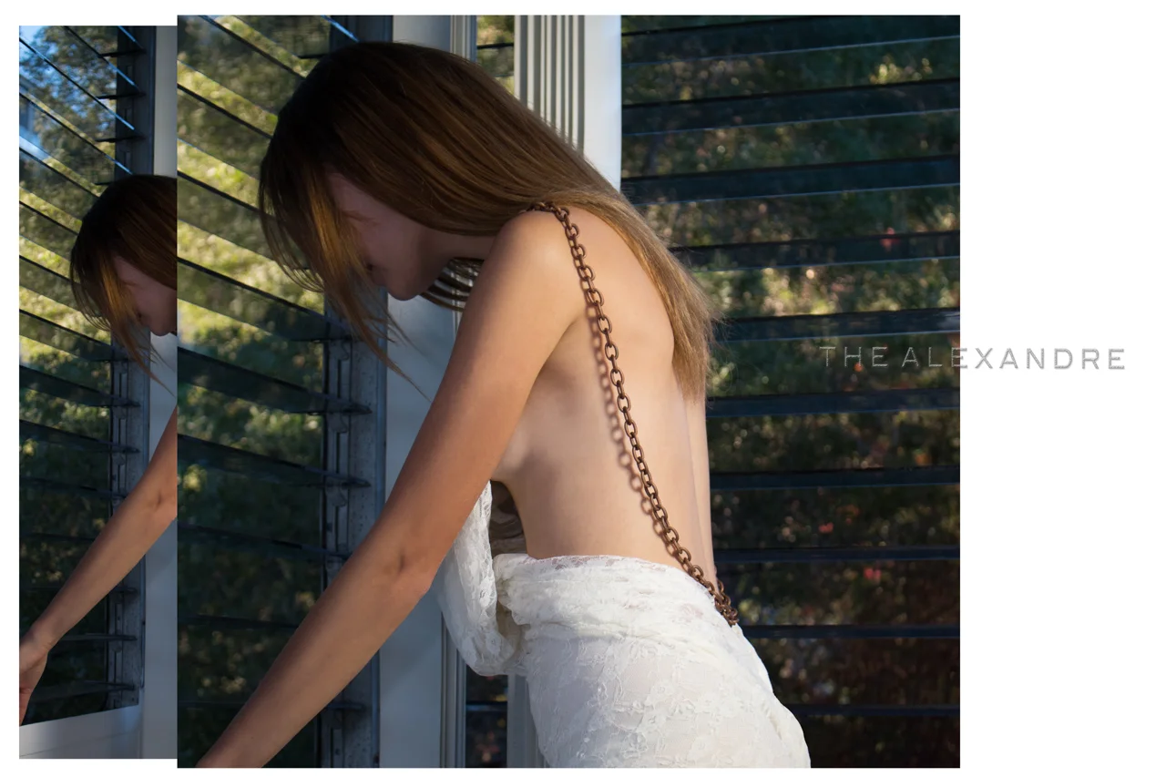 Alexandre Dorriz, Spring/Summer 2015 Ready-to-Wear , 2014. Archival Inkjet Print, 42” x 28”. www.thealexandre.com