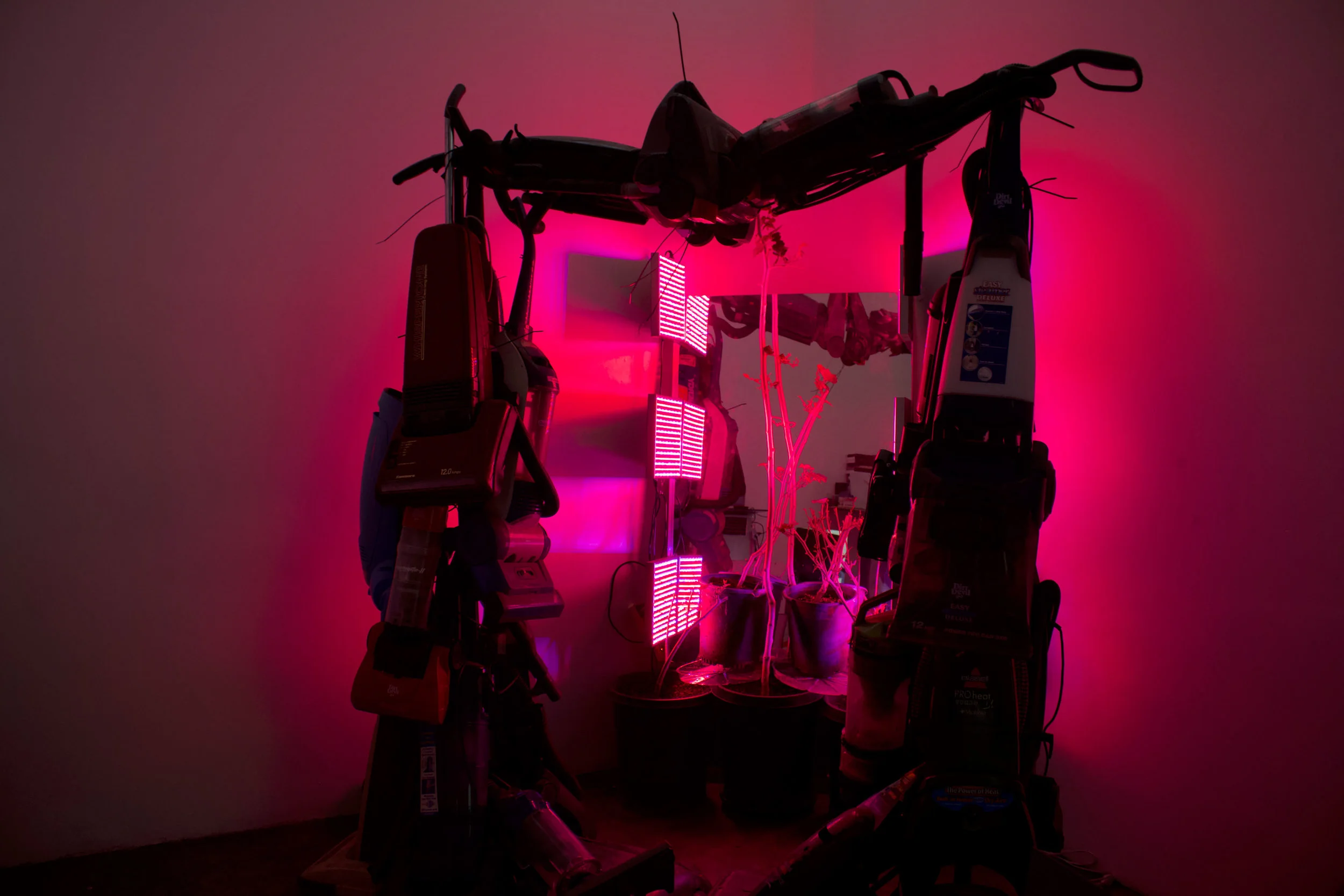 alexandre_dorriz_untitledwormhole04_pomegranatenailsexposedsilkneedle_5x8-9212.jpg