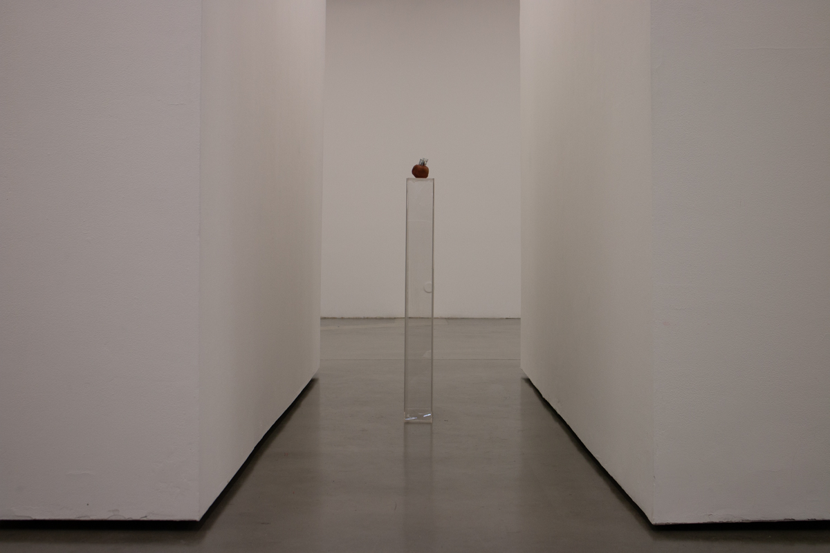 “Untitled (Wormhole 04)”, Pomegranate (35°39'10.151" N 119°53'35.837), Stainless Steel Nails, Exposed Silk (2 Silkworm Cocoons exposed to YouTube search algorithm, “Lawrence of Arabia” played continually for 10 days), 2 Plexi Pedestals. 2018.