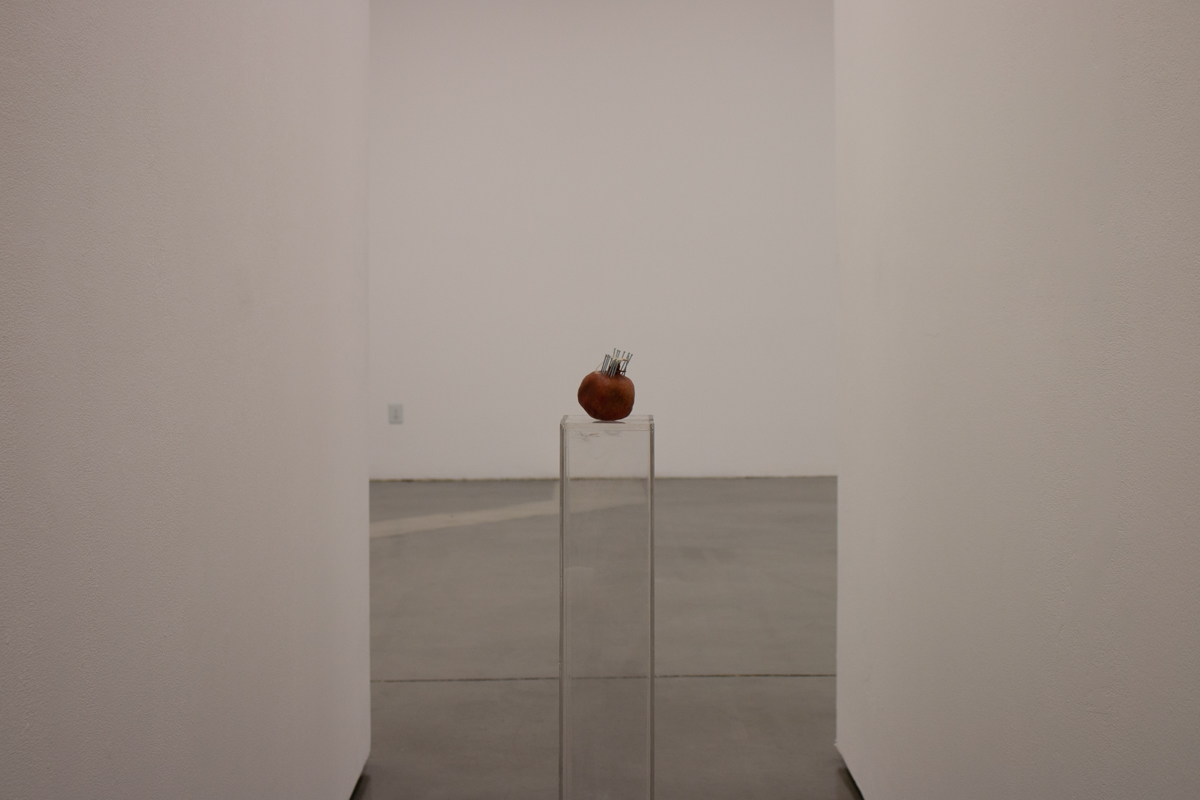 “Untitled (Wormhole 04)”, Pomegranate (35°39'10.151" N 119°53'35.837), Stainless Steel Nails, Exposed Silk (2 Silkworm Cocoons exposed to YouTube search algorithm, “Lawrence of Arabia” played continually for 10 days), 2 Plexi Pedestals. 2018.
