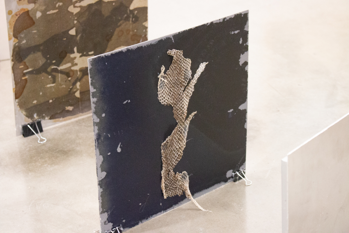 “Occident, galloping / Gilgamesh, swimming ; ML/OL 01-09 (Zoopraxiscope A)” Aluminum, Growlight, Unexposed Cyanotype on Mirror, Snake Shedding, Xerox on Aluminum, Pomegranate (35°39'10.151" N 119°53'35.837), Binder Clips. 2019