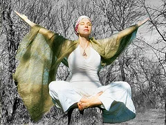 Photo: Some rights reserved by Sierragoddess