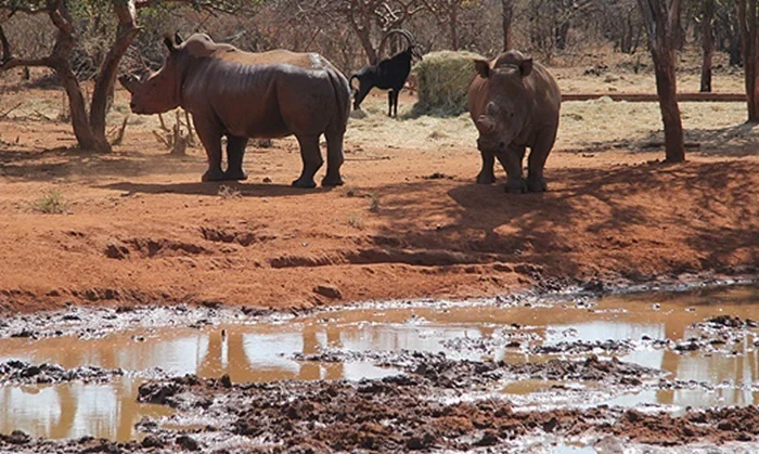 Hawks investigate game farm owners