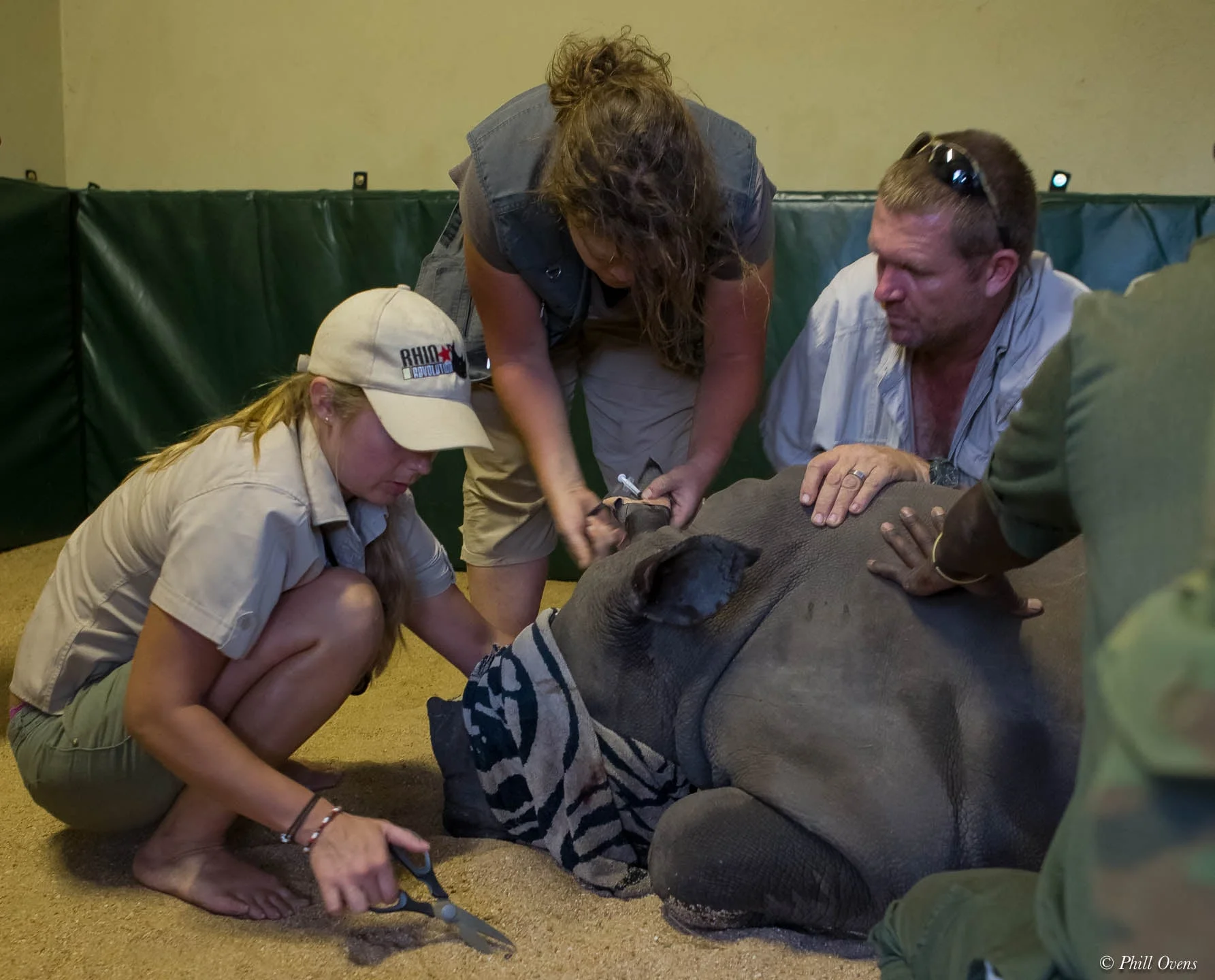 5 Day Search for Orphaned Calf