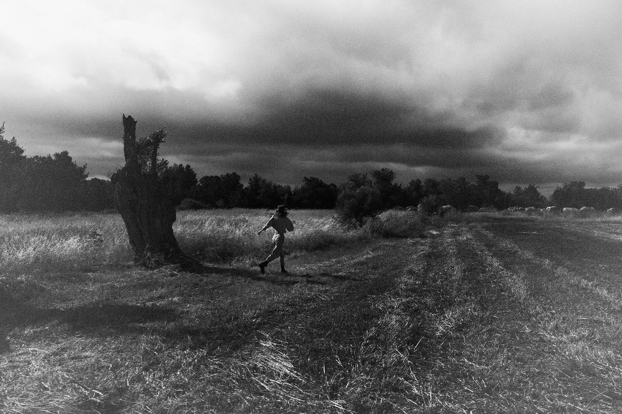 _91A7068 copy-Exposurge4150ds2.jpg