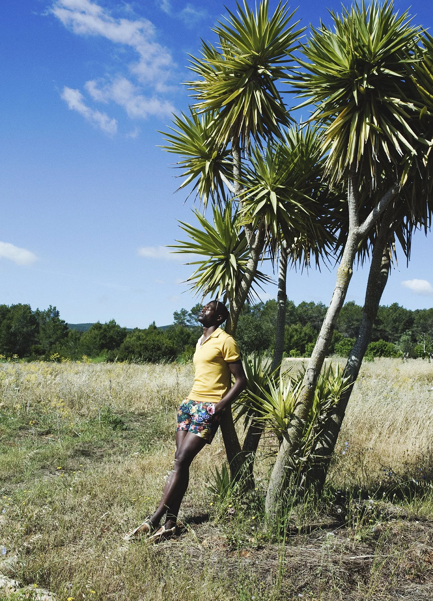 _91A5301 NO TEXTURE 72DPI.jpg