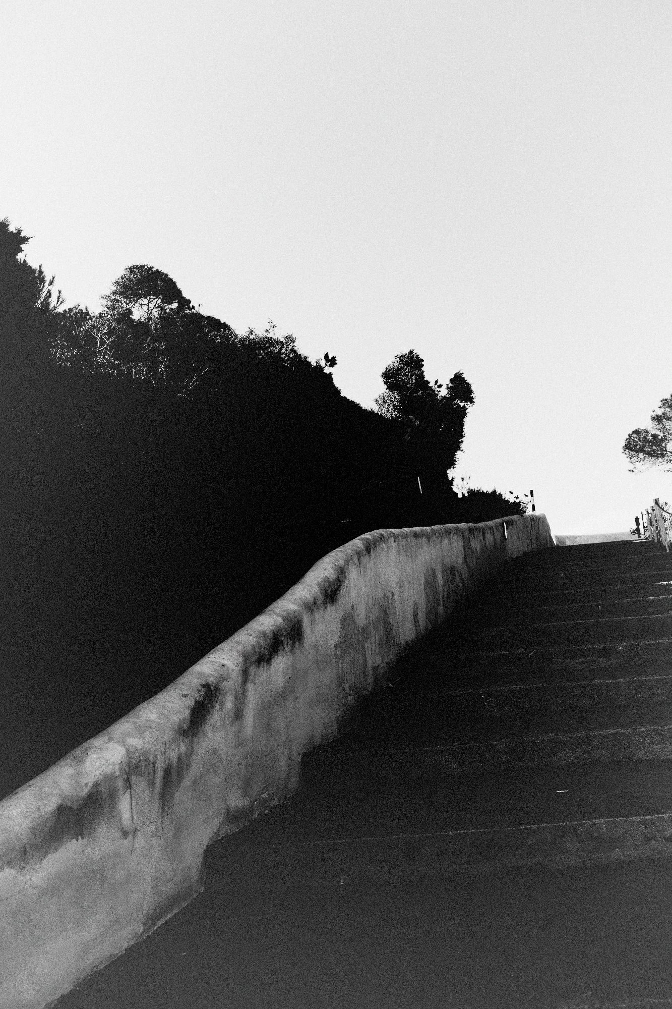 _91A0988-Exposure4540.jpg