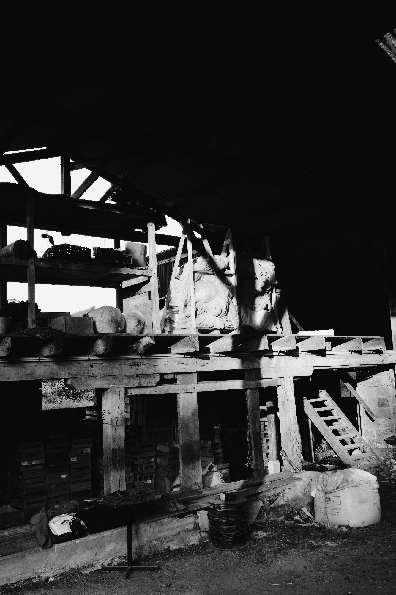 _91A8863-Exposure4678.jpg