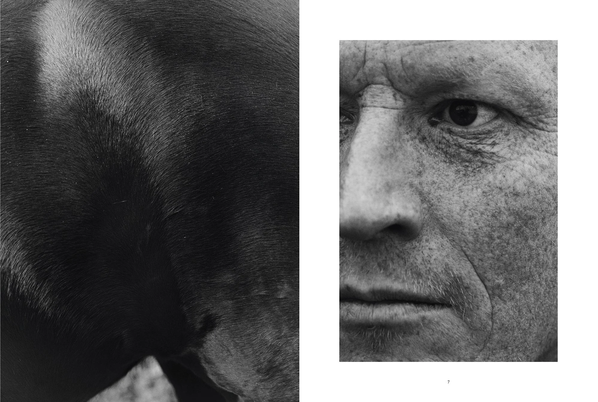 Screenshot 2024-10-09 at 10.49 copy.jpg