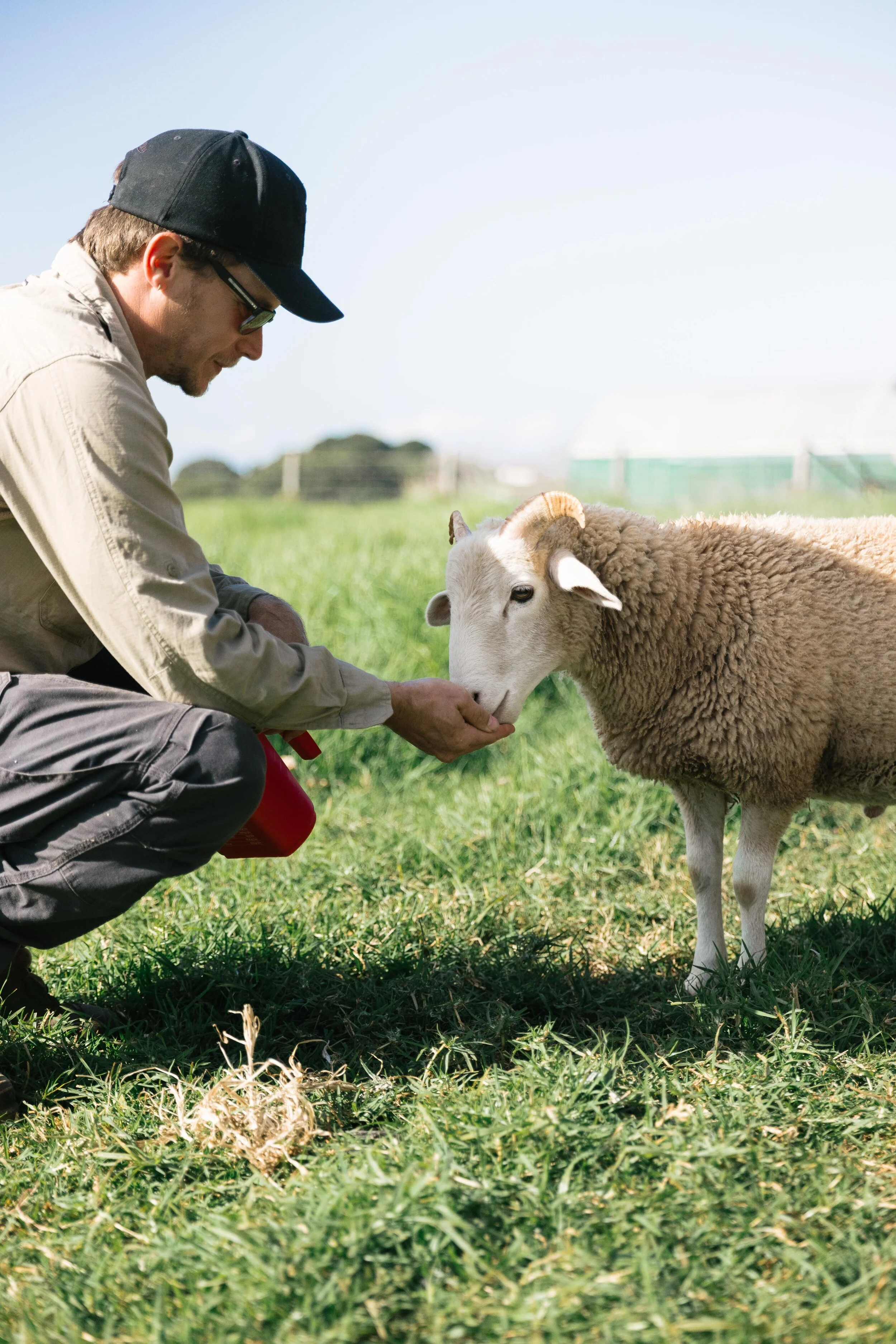 03_TheFarmJuly2021_Animals_MiaForrest.jpg