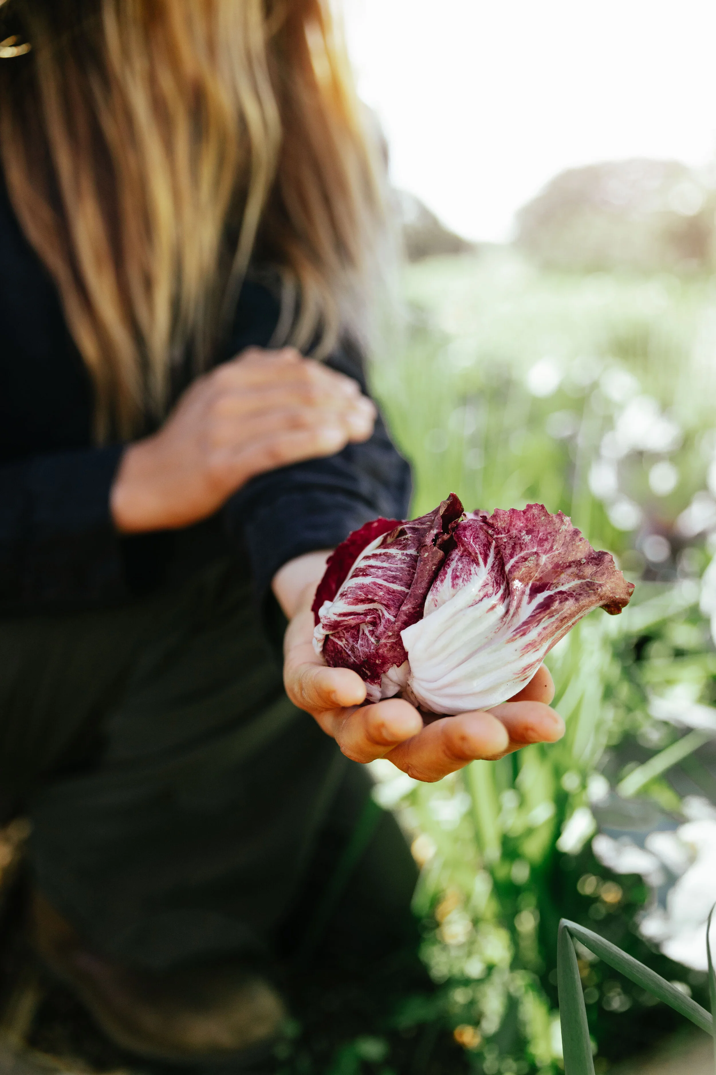 18_TheFarmJuly2021_HungryEarth_MiaForrest.jpg