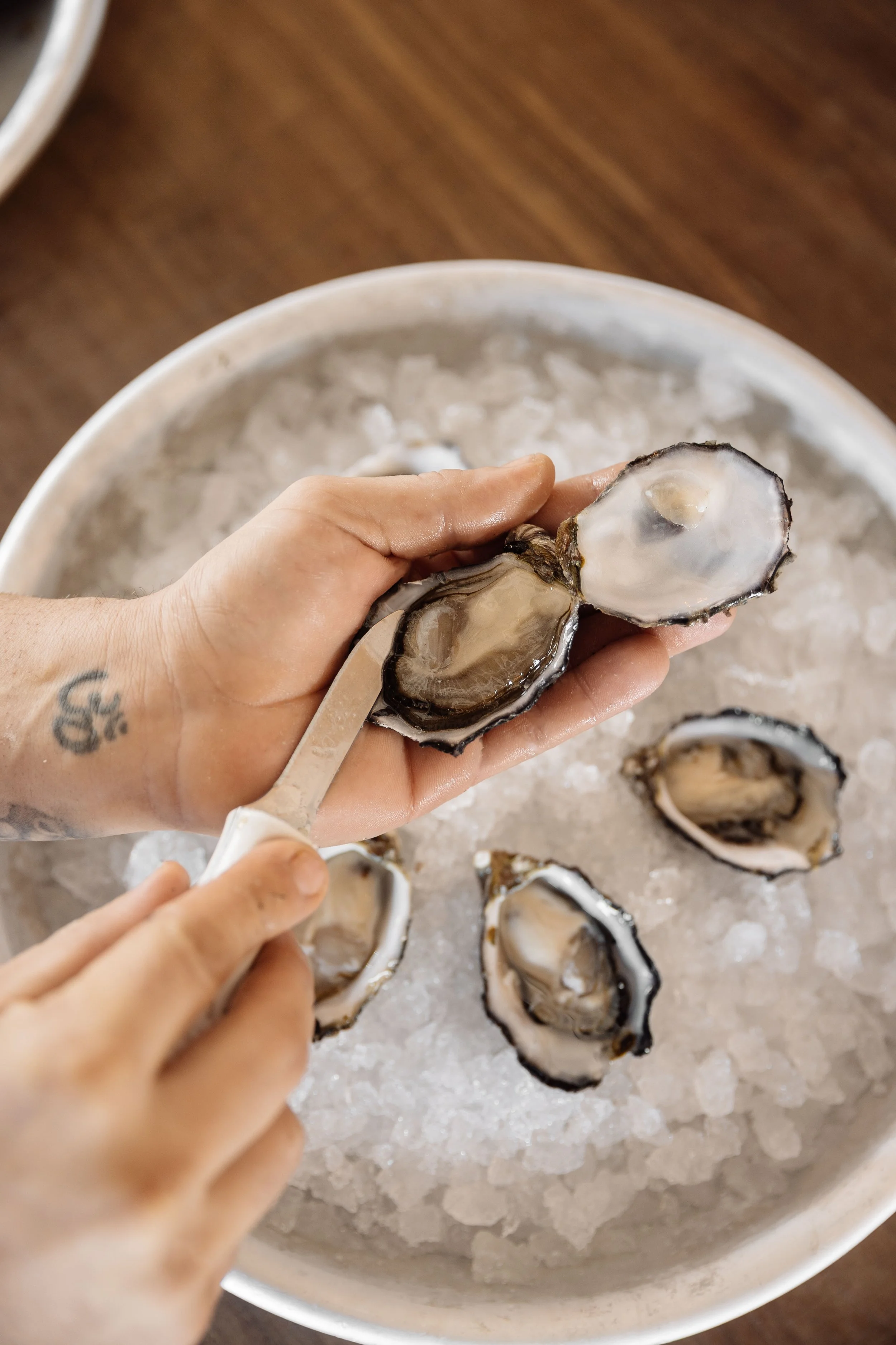 07_TSC_Balcony_July-2025_OysterFest_Mia-Forrest.jpg
