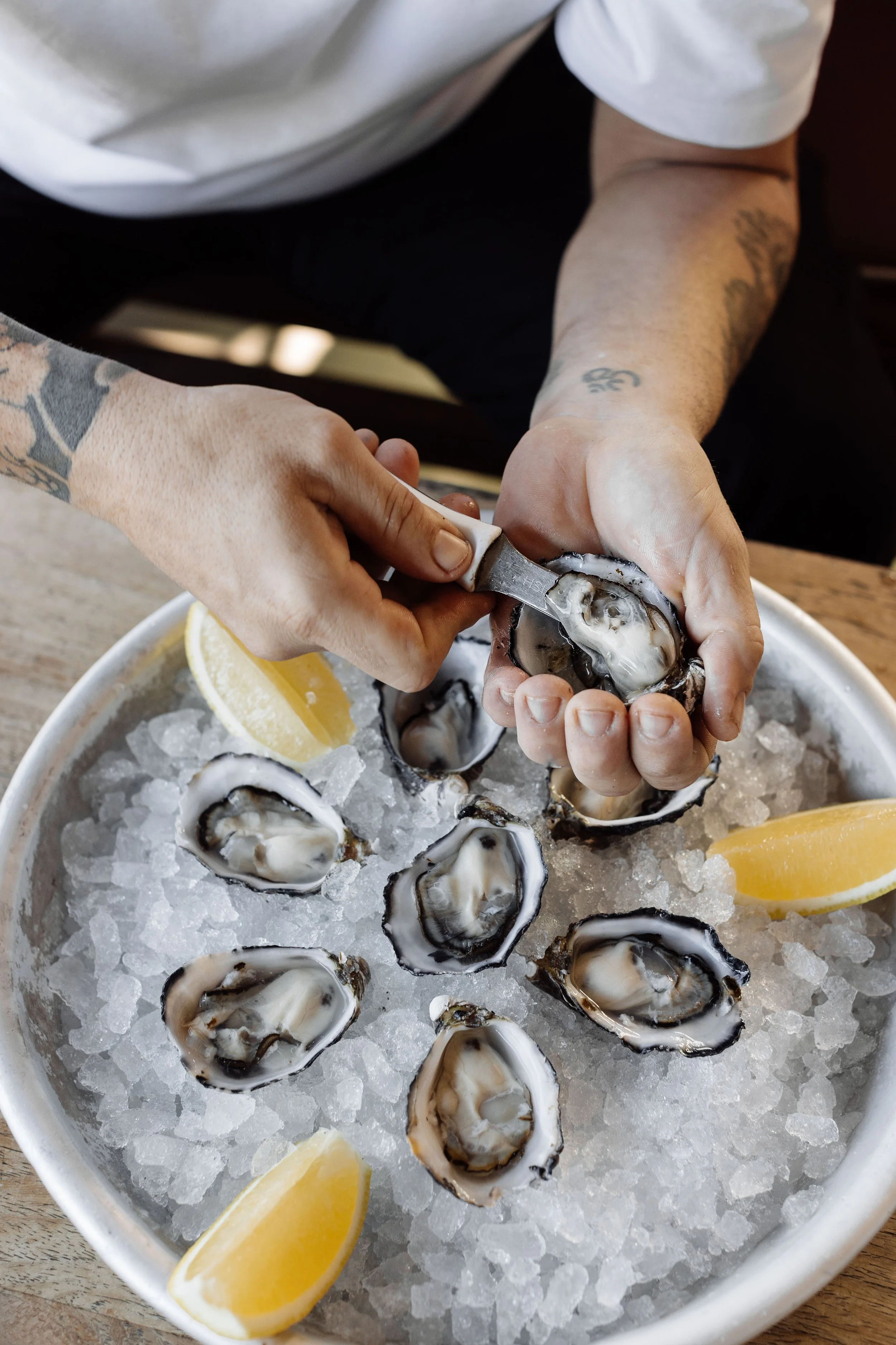 09_TSC_Balcony_July-2025_OysterFest_Mia-Forrest.jpg