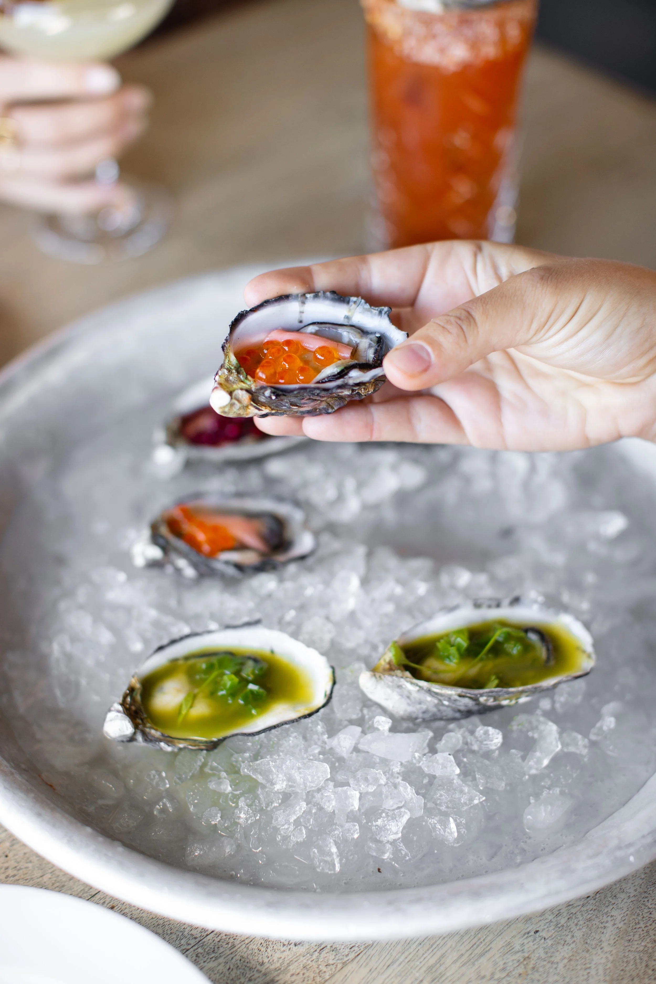 35_TSC_Balcony_July-2025_OysterFest_Mia-Forrest.jpg
