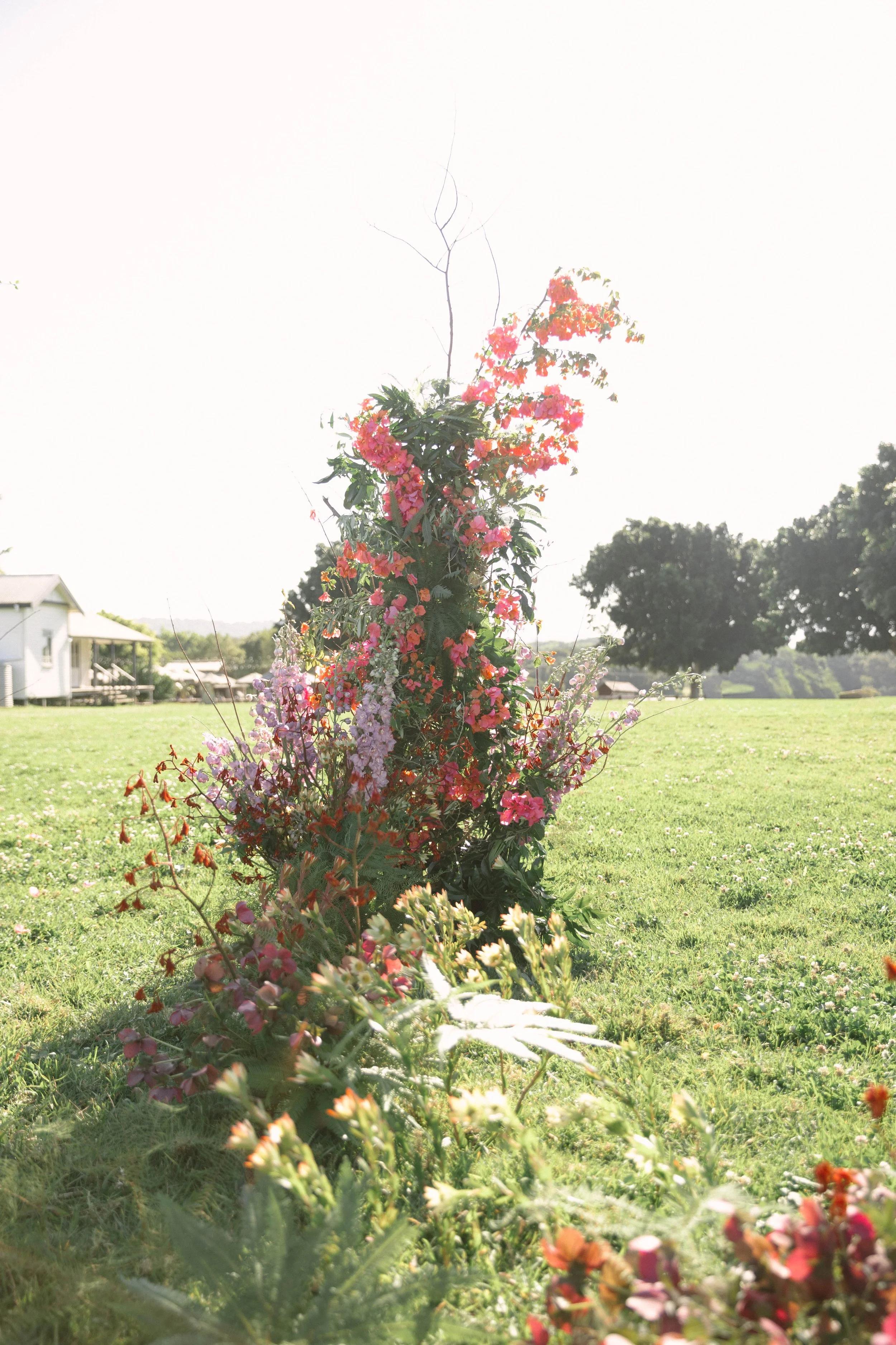 365_Poppy-Fern_Flower-School_September-2025_Mia-Forrest.jpg