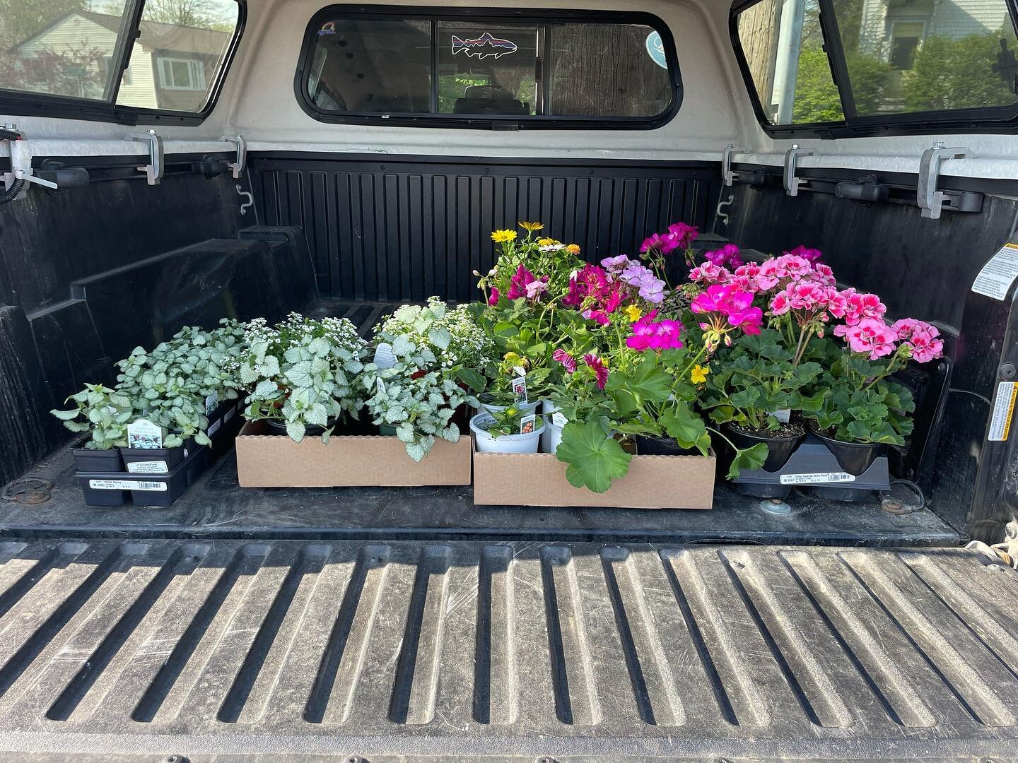 I know what I&rsquo;m doing tomorrow!  #garden #flowers #spring #plants #fillingflowerpots #happymothersday