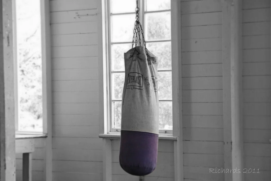 TRAIN: The Discipline of Stewardship