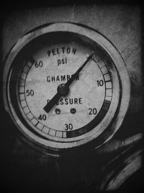 Photo by Steven Schwartz