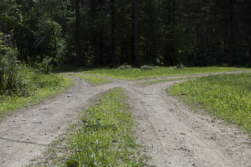 God, What Do You Want Me To Do For You Today? 