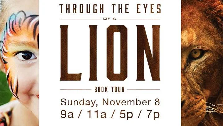 See Life Differently by Looking Through the Eyes of a Lion